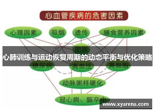 心肺训练与运动恢复周期的动态平衡与优化策略
